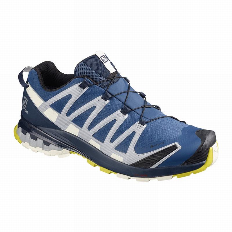 SALOMON XA PRO 3D V8 GORE-TEX Philippines - Men's Trail Running Shoes - Navy | 258301-LFT